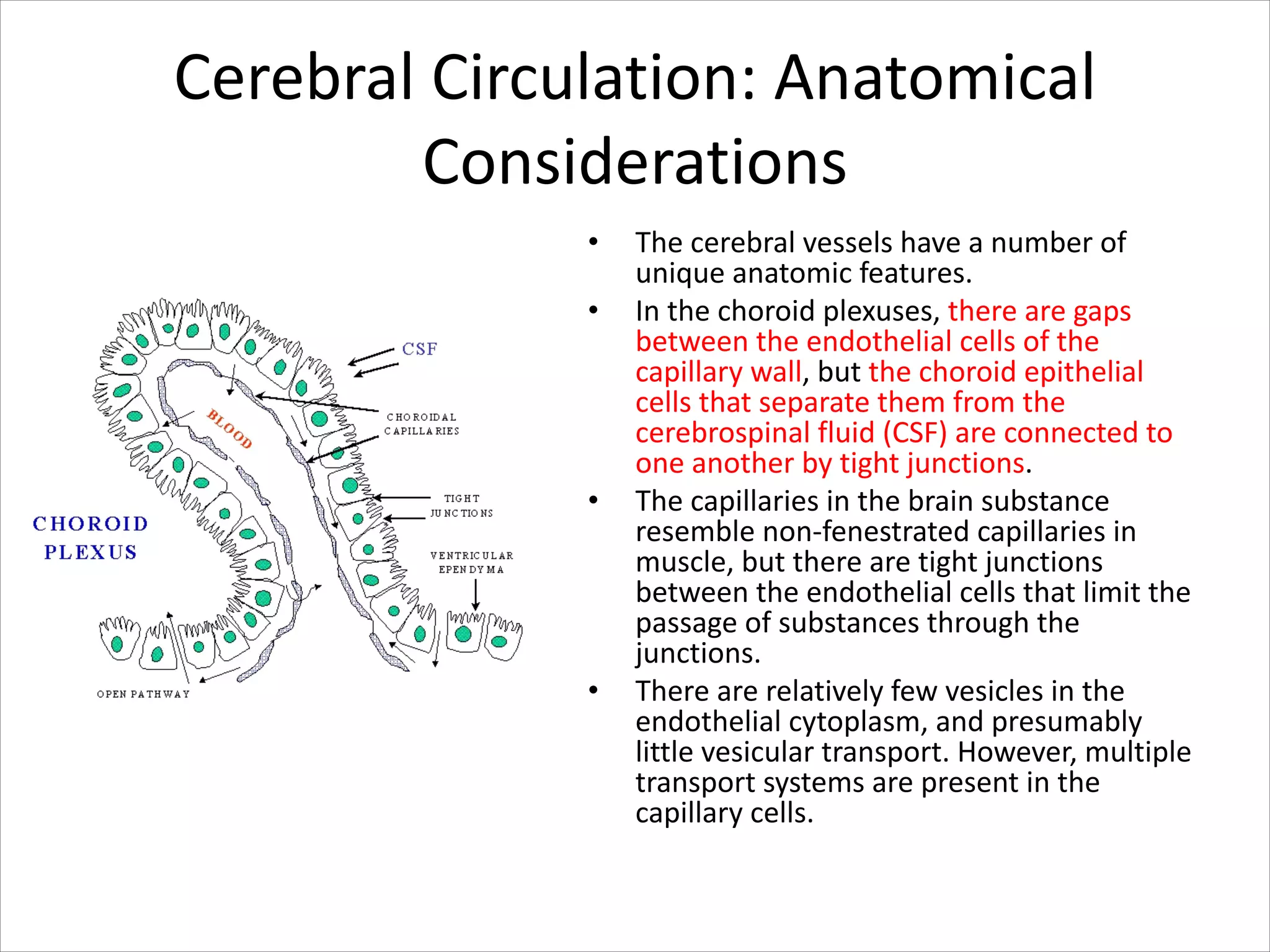 Cerebral Circulation: Anatomical
Considerations
• The cerebral vessels have a number of
unique anatomic features.
• In the choroid plexuses, there are gaps
between the endothelial cells of the
capillary wall, but the choroid epithelial
cells that separate them from the
cerebrospinal fluid (CSF) are connected to
one another by tight junctions.
• The capillaries in the brain substance
resemble non-fenestrated capillaries in
muscle, but there are tight junctions
between the endothelial cells that limit the
passage of substances through the
junctions.
• There are relatively few vesicles in the
endothelial cytoplasm, and presumably
little vesicular transport. However, multiple
transport systems are present in the
capillary cells.
 