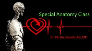 Special Anatomy Class
Dr. Partha Sarathi Ain.MD
 