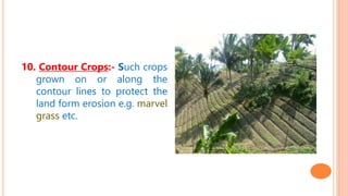 10. Contour Crops:- Such crops
grown on or along the
contour lines to protect the
land form erosion e.g. marvel
grass etc.
 