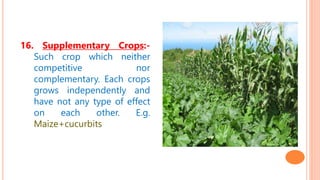 16. Supplementary Crops:-
Such crop which neither
competitive nor
complementary. Each crops
grows independently and
have not any type of effect
on each other. E.g.
Maize+cucurbits
 