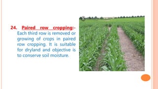 24. Paired row cropping:-
Each third row is removed or
growing of crops in paired
row cropping. It is suitable
for dryland and objective is
to conserve soil moisture.
 