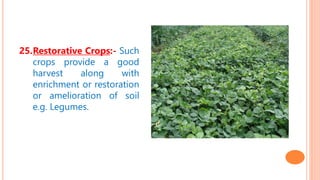 25.Restorative Crops:- Such
crops provide a good
harvest along with
enrichment or restoration
or amelioration of soil
e.g. Legumes.
 