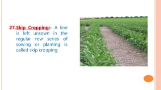27.Skip Cropping:- A line
is left unsown in the
regular row series of
sowing or planting is
called skip cropping.
 