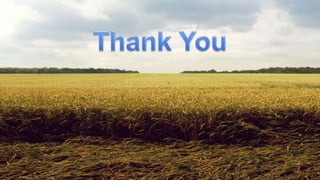 Special Classification of Crops