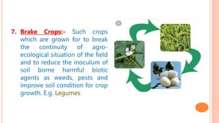 7. Brake Crops:- Such crops
which are grown for to break
the continuity of agro-
ecological situation of the field
and to reduce the inoculum of
soil borne harmful biotic
agents as weeds, pests and
improve soil condition for crop
growth. E.g. Legumes
 