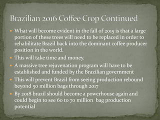  
What will become evident in the fall of 2015 is that a large portion of these trees will need to be replaced in order to rehabilitate Brazil back into the dominant coffee producer position in the world. 
 
This will take time and money. 
 
A massive tree rejuvenation program will have to be established and funded by the Brazilian government 
 
This will prevent Brazil from seeing production rebound beyond 50 million bags through 2017 
 
By 2018 brazil should become a powerhouse again and could begin to see 60 to 70 million bag production potential  