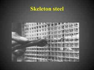 Skeleton steel
 