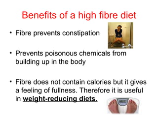Benefits of a high fibre diet
• Fibre prevents constipation

• Prevents poisonous chemicals from
  building up in the body

• Fibre does not contain calories but it gives
  a feeling of fullness. Therefore it is useful
  in weight-reducing diets.
 
