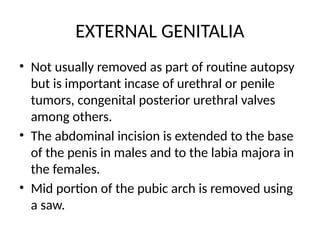 EXTERNAL GENITALIA
• Not usually removed as part of routine autopsy
but is important incase of urethral or penile
tumors, congenital posterior urethral valves
among others.
• The abdominal incision is extended to the base
of the penis in males and to the labia majora in
the females.
• Mid portion of the pubic arch is removed using
a saw.
 