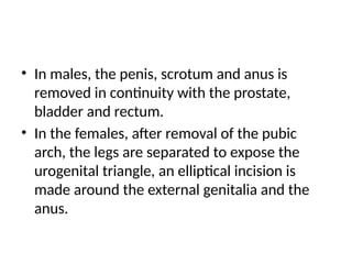 • In males, the penis, scrotum and anus is
removed in continuity with the prostate,
bladder and rectum.
• In the females, after removal of the pubic
arch, the legs are separated to expose the
urogenital triangle, an elliptical incision is
made around the external genitalia and the
anus.
 