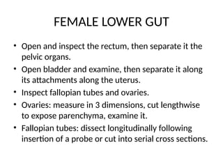 FEMALE LOWER GUT
• Open and inspect the rectum, then separate it the
pelvic organs.
• Open bladder and examine, then separate it along
its attachments along the uterus.
• Inspect fallopian tubes and ovaries.
• Ovaries: measure in 3 dimensions, cut lengthwise
to expose parenchyma, examine it.
• Fallopian tubes: dissect longitudinally following
insertion of a probe or cut into serial cross sections.
 