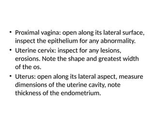 • Proximal vagina: open along its lateral surface,
inspect the epithelium for any abnormality.
• Uterine cervix: inspect for any lesions,
erosions. Note the shape and greatest width
of the os.
• Uterus: open along its lateral aspect, measure
dimensions of the uterine cavity, note
thickness of the endometrium.
 
