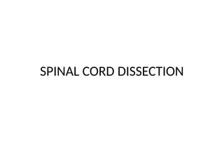 SPINAL CORD DISSECTION
 