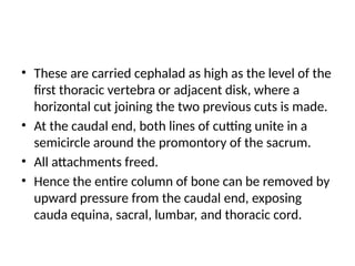 • These are carried cephalad as high as the level of the
first thoracic vertebra or adjacent disk, where a
horizontal cut joining the two previous cuts is made.
• At the caudal end, both lines of cutting unite in a
semicircle around the promontory of the sacrum.
• All attachments freed.
• Hence the entire column of bone can be removed by
upward pressure from the caudal end, exposing
cauda equina, sacral, lumbar, and thoracic cord.
 