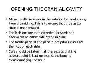 OPENING THE CRANIAL CAVITY
• Make parallel incisions in the anterior fontanelle away
from the midline. This is to ensure that the sagittal
sinus is not damaged.
• The incisions are then extended forwards and
backwards on either side of the midline.
• The fronto-parietal and parieto-occipital sutures are
then cut on each side.
• Care should be taken in all these steps that the
scissors point is kept up against the bone to
avoid damaging the brain.
 