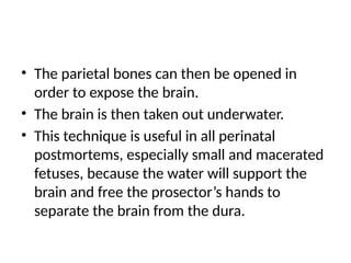 • The parietal bones can then be opened in
order to expose the brain.
• The brain is then taken out underwater.
• This technique is useful in all perinatal
postmortems, especially small and macerated
fetuses, because the water will support the
brain and free the prosector’s hands to
separate the brain from the dura.
 