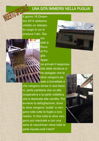 UNA GITA IMMERSI NELLA PUGLIA!
Pagina 4
Il giorno 16 Dicem-
bre 2014 abbiamo
visitato un elaiopo-
lio luogo in cui si
produce l’olio. Sia-
mo
stati a
Ruvo
di Pu-
glia.
Appe-
na arrivati il responsa-
bile della struttura ci
ha spiegato che le
olive vengono pe-
sate a tonnellate e
che vengono divise in due fazio-
ni, parte partitaria che va alla
cooperativa e la parte collettiva
che è destinata alla vendita. Poi
avviene la defogliazione, dove
le olive vengono “pulite” e ven-
gono tolte tutte le foglie o loro
residui. In fine tutte le olive ven-
gono poi macinate e con una
serie di macchinari viene tolta la
parte liquida,cioè l’olio!!!
 