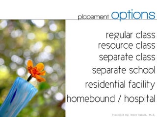 placement   options




            Presented By: Brent Daigle, Ph.D.
 