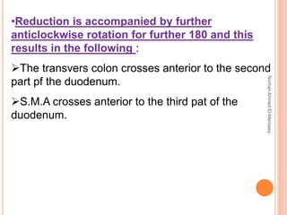 Special embryology | PPT