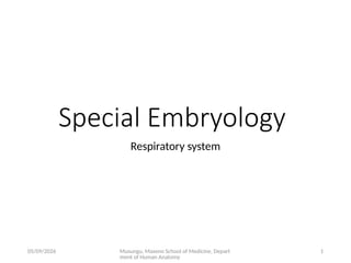 Comprehensive Embryology of the Human Respiratory System Development | PPTX