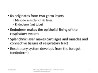 Comprehensive Embryology of the Human Respiratory System Development | PPTX