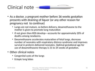 Comprehensive Embryology of the Human Respiratory System Development | PPTX