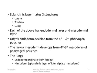 Comprehensive Embryology of the Human Respiratory System Development | PPTX