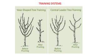 TRAINING SYSTEMS
 