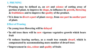 1. PRUNING
✓Pruning may be defined as, an art and science of cutting away of
portion of plant, to improve its shape, to influence its growth, flowering
& fruitfulness and to improve the quality of the product.
✓It is done to divert a part of plant energy, from one part to another part
of plant.
Effect of Pruning
✓In young trees flowering will be delayed
✓In old trees there will be new vigorous vegetative growth which bears
fruit
✓It reduces bearing surface, as a result tree remain dwarf, which is
compensated by accommodating more number of dwarf trees
✓Improvement in size, colour and quality of fruits
 