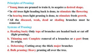 Principles of Pruning:
✓Young trees are pruned to train it, to acquire a desired shape.
✓In old trees light heading back is done, to stimulate the flowering
✓In bearing trees light pruning is done, to stimulate fresh growth.
✓All the diseased, weak, dead or shading branches must be
removed.
Systems of Pruning:
a. Heading back: Only tops of branches are headed back or cut off
(light pruning).
b. Thinning out: Complete removal of a branches or a part from
its origin.
c. Dehorning: Cutting away the thick major branches
d. Bulk pruning: Heavy pruning all over the tree.
 