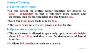 System of Training:
a. Central leader system:
✓In this system the central leader branches are allowed to
grow indefinitely so that it will grow more rapidly and
vigorously than the side branches and tree became tall.
✓Such tree bears more fruits near the top.
✓The lower branches are less vigorous and less fruitful.
b. Open centre or vase system:
✓The main stem is allowed to grow only up to a certain height
about 1.5 to 1.8 m and then it cut for development of lateral
branches.
✓It allows full sunshine to reach each branch.
……….
 