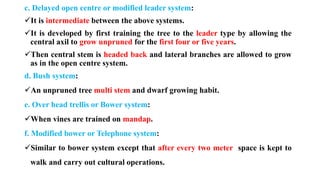 c. Delayed open centre or modified leader system:
✓It is intermediate between the above systems.
✓It is developed by first training the tree to the leader type by allowing the
central axil to grow unpruned for the first four or five years.
✓Then central stem is headed back and lateral branches are allowed to grow
as in the open centre system.
d. Bush system:
✓An unpruned tree multi stem and dwarf growing habit.
e. Over head trellis or Bower system:
✓When vines are trained on mandap.
f. Modified bower or Telephone system:
✓Similar to bower system except that after every two meter space is kept to
walk and carry out cultural operations.
 