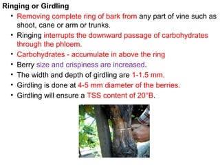 Special Horticultural Practices: Techniques for Enhanced Plant Growth ...