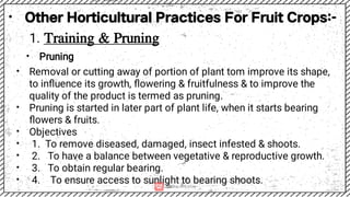 Special Horticultural Practices in fruit crops.pdf