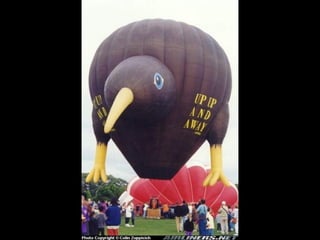 Special Hot Air Balloons2