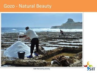 Gozo - Natural Beauty
Salt Harvesting Activity
 