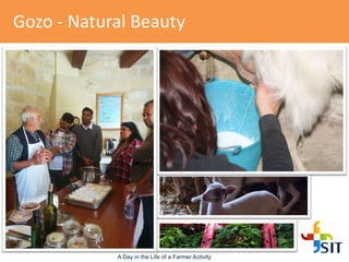 Gozo - Natural Beauty
A Day in the Life of a Farmer Activity
 