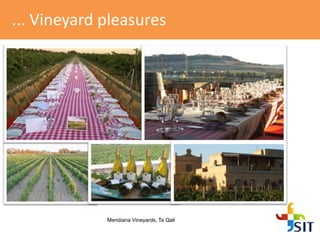 ... Vineyard pleasures
Meridiana Vineyards, Ta Qali
 