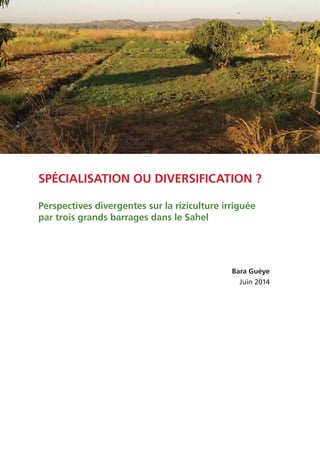 Spécialisation ou diversification ?
Perspectives divergentes sur la riziculture irriguée
par trois grands barrages dans le Sahel
Bara Guèye
Juin 2014
 