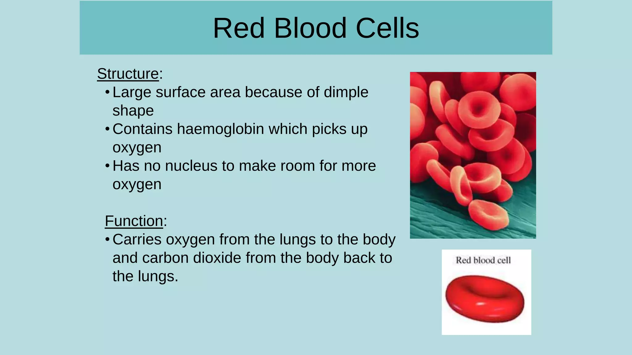 Specialised-cell.pptx