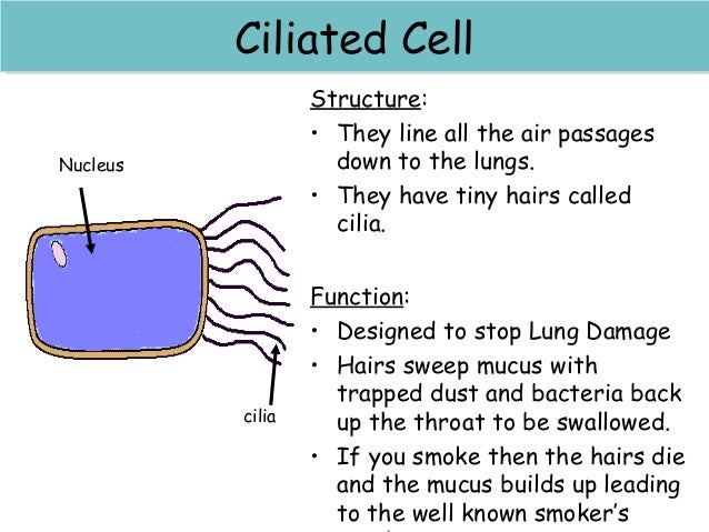 Specialised info sheets (1)