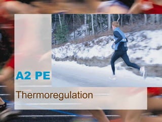 A2 PE
Thermoregulation
 