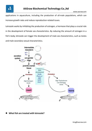 Special Issue：What hormones are typically used for fish sex reversal ...