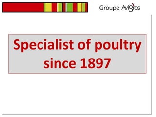 Specialist of poultry
    since 1897
 