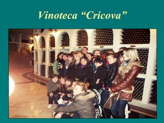 Vinoteca “Cricova”

 