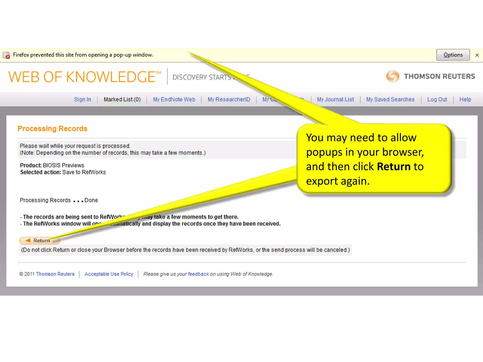 You may need to allow
popups in your browser,
and then click Return to
export again.
 