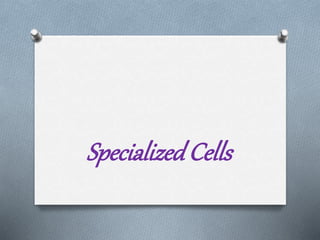 SpecializedCells
 