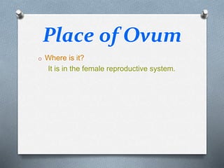 Place of Ovum
o Where is it?
It is in the female reproductive system.
 