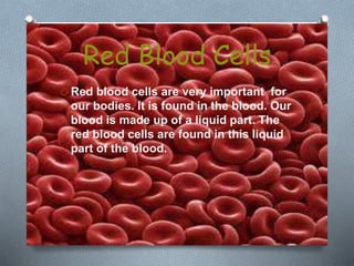 Red Blood Cells
O Red blood cells are very important for
our bodies. It is found in the blood. Our
blood is made up of a liquid part. The
red blood cells are found in this liquid
part of the blood.
 