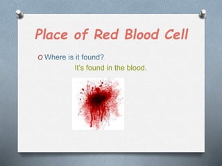 Place of Red Blood Cell
O Where is it found?
It’s found in the blood.
 